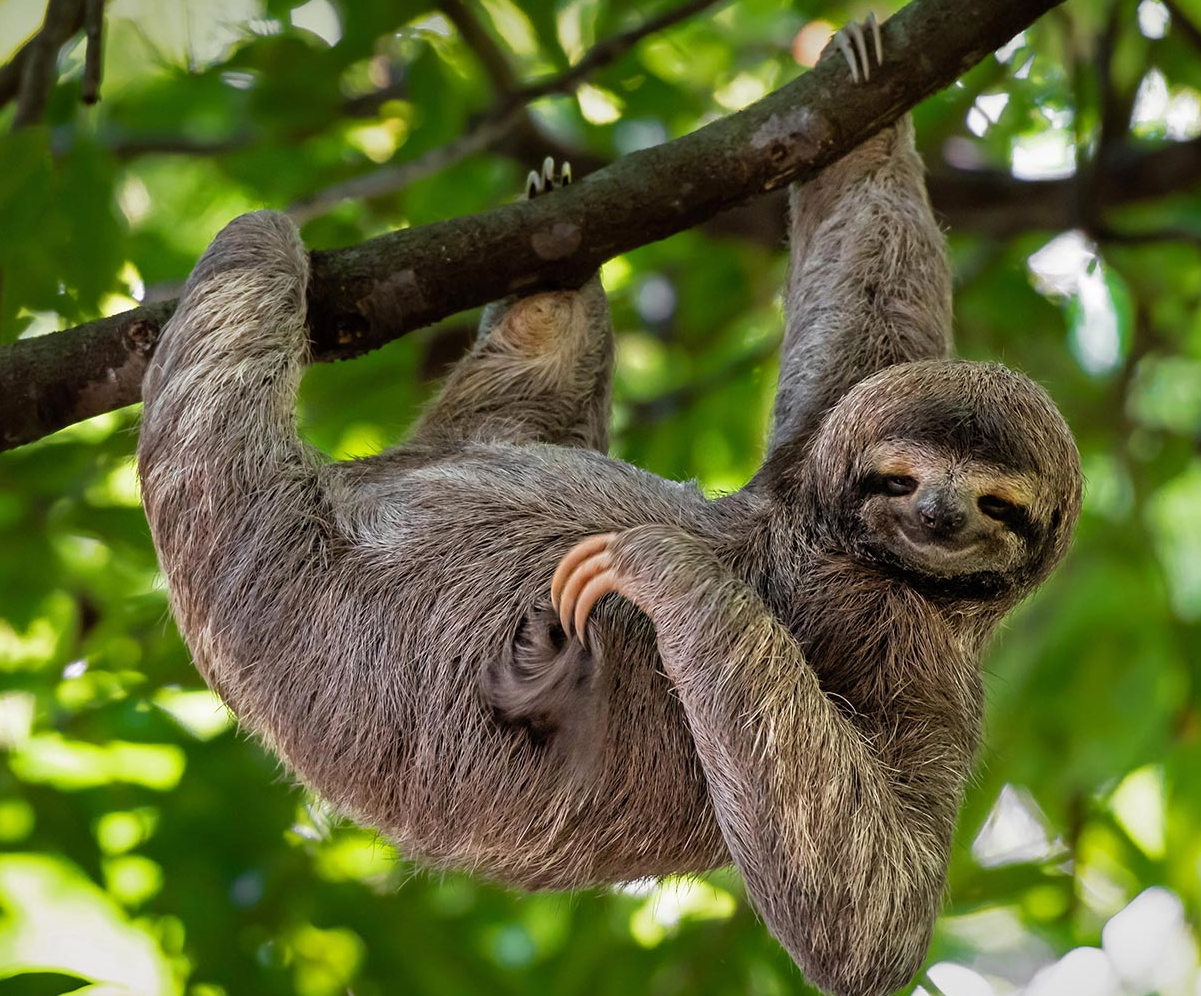 Why This Simple YAML Reveals the Hidden Complexity of Kubernetes Networking YAML Kubernetes networking
